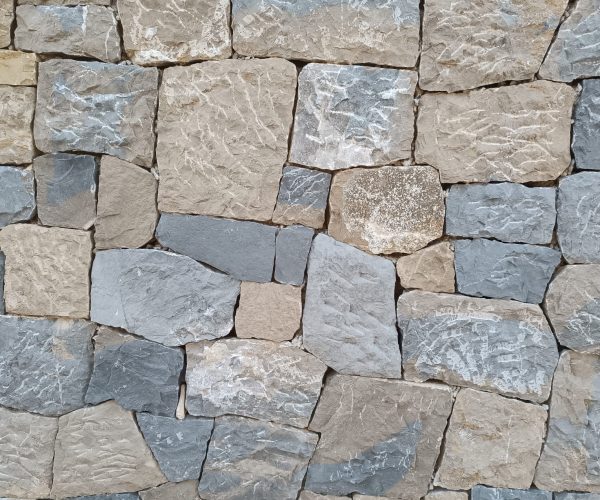 WhatsApp Image 2026-01-26 at 12.58.02 (2)